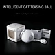 cat balls light up